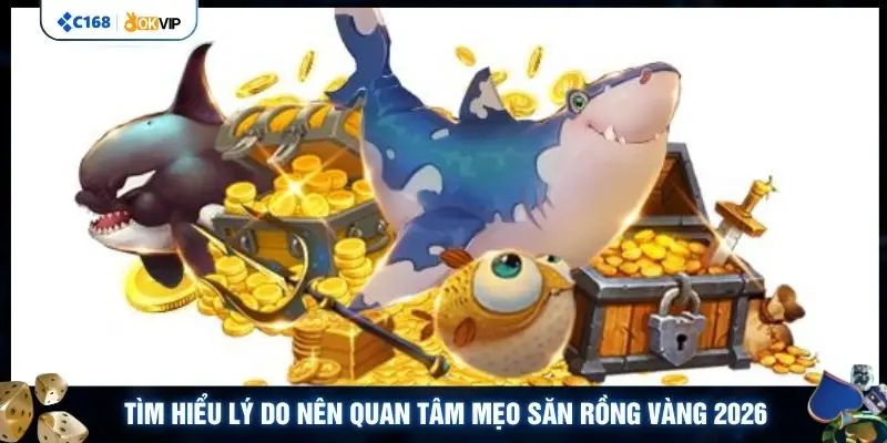 Tìm hiểu lý do nên quan tâm mẹo săn rồng vàng 2026